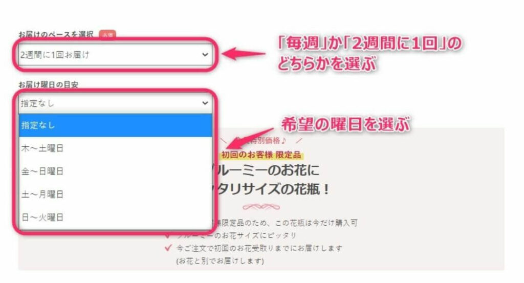 ブルーミーの申し込み方法