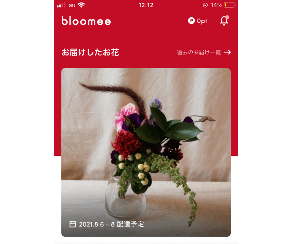 Bloomee(ブルーミー)リッチプランの口コミレビュー