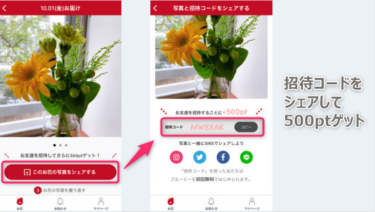 ブルーミーのアプリ お友達紹介でポイント