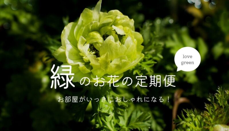 「おしゃれな緑のお花」が届く定期便ならインテリアとの相性バッチリ！