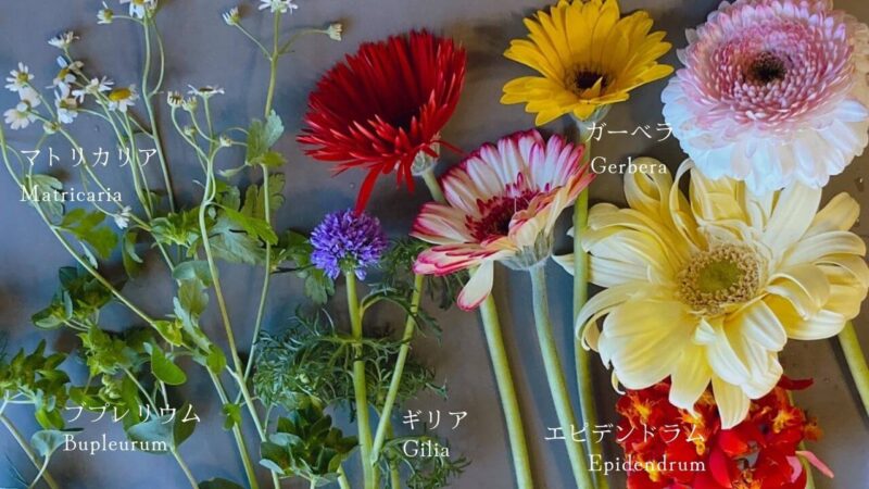 LIFFT（リフト）花の定期便　お花の種類
